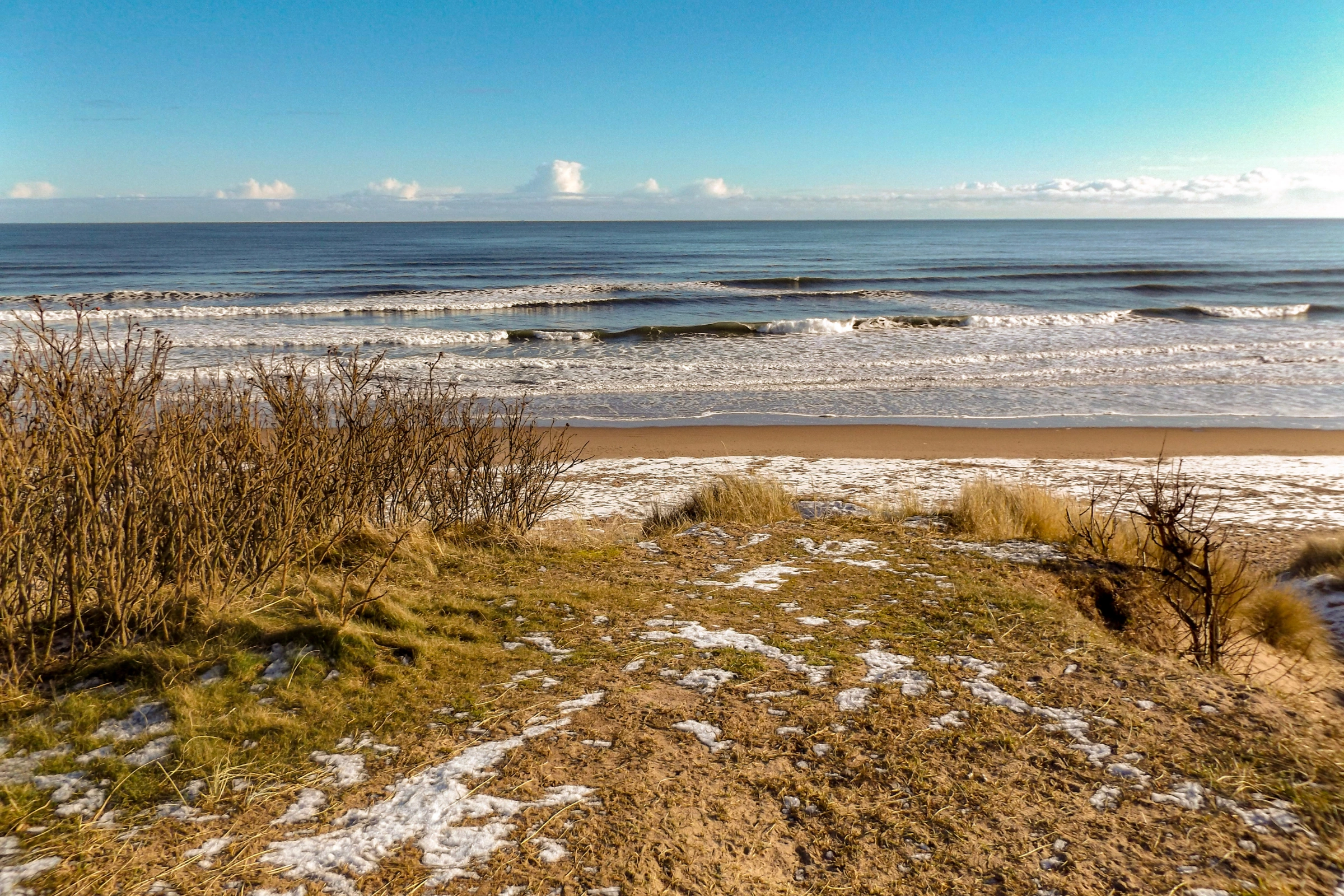 Montrose[1].webp